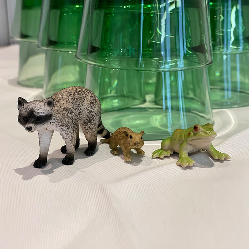 Stilleben mit Waschbär, Maus und Frosch © privat